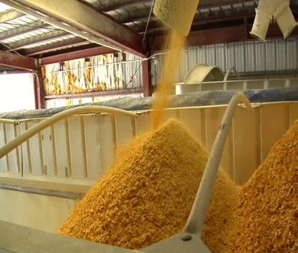 Cornflakes load into container Video stock 21591251
