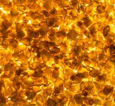 Cornflakes texture Stock Photos