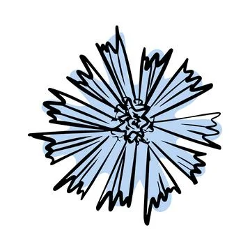 Cornflower with abstract shapes hand drawn illustration. Line art. Isolated on Stock Illustration