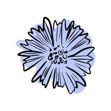Cornflower with abstract shapes hand drawn illustration. Line art. Isolated on Stock Illustration