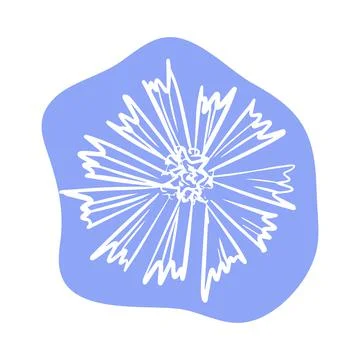 Cornflower with abstract shapes hand drawn illustration. Line art. Isolated on Stock Illustration