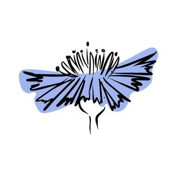 Cornflower with abstract shapes hand drawn illustration. Line art. Isolated on Stock Illustration