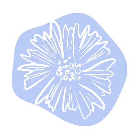 Cornflower with abstract shapes hand drawn illustration. Line art. Isolated on Stock Illustration