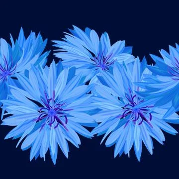 Cornflower. Blue flower. Texture, background seamless Stock Illustration