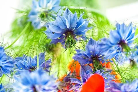 Cornflower in the bouquet Stock Photos