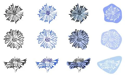 Cornflower. Icon set. Flowers on abstract shape on white background. Isolated Stock Illustration