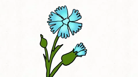 Cornflower Petals Loop Animation Stock Footage 331633837