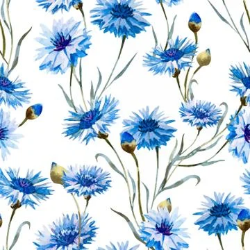 Cornflower watercolor pattern Stock Illustration