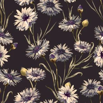 Cornflower watercolor pattern Stock Illustration