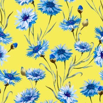Cornflower watercolor pattern Stock Illustration