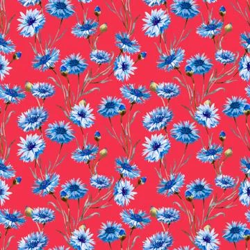 Cornflower watercolor pattern Stock Illustration