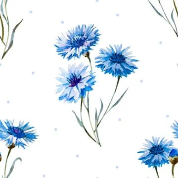 Cornflower watercolor pattern Stock Illustration