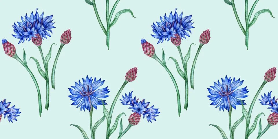 Cornflowers and buds pattern on a blue watercolor background Illustrazione stock
