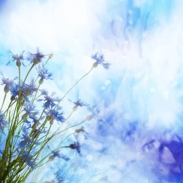 Cornflowers background Stock Illustration