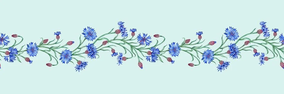 Cornflowers blue flowers horizontal pattern watercolor Stock Illustration