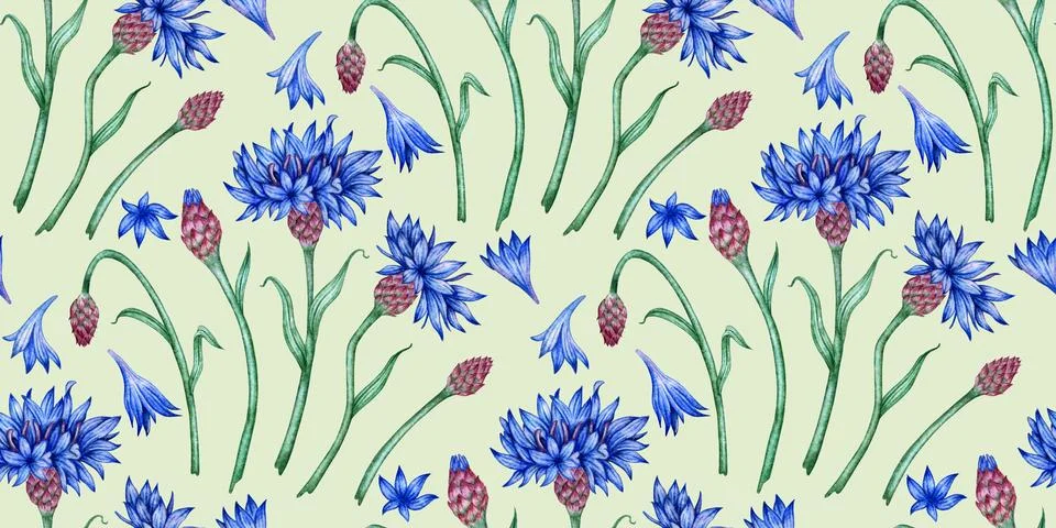Cornflowers blue flowers pattern on gray background watercolor Illustrazione stock