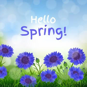 Cornflowers With Bokeh And Text Stock Illustration