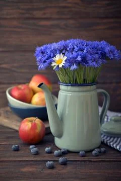 Cornflowers with camomile Stock Photos