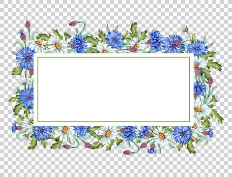 Cornflowers daisies rectangular frame watercolor Stock Illustration