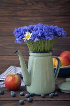 Cornflowers with daisy Stock Photos