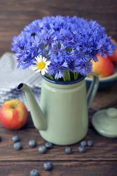 Cornflowers with daisy 스톡 사진