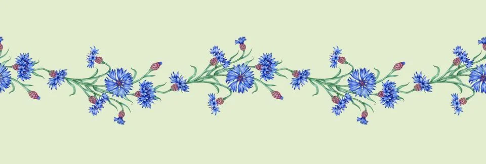 Cornflowers flowers blue pattern horizontal on gray background watercolor Illustrazione stock