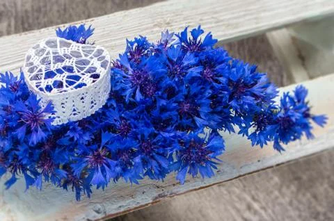 Cornflowers with the heart. Stock Photos