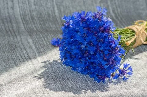 Cornflowers Stock Photos