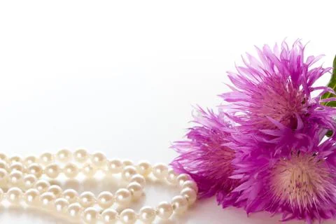 Cornflowers Stock Photos