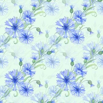 Cornflowers. seamless watercolor pattern with blue flowers. Watercolor Stock Illustration