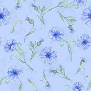 Cornflowers. seamless watercolor pattern with blue flowers. Watercolor Stock Illustration