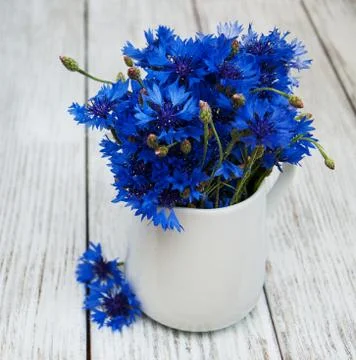 Cornflowers in vase Foto stock