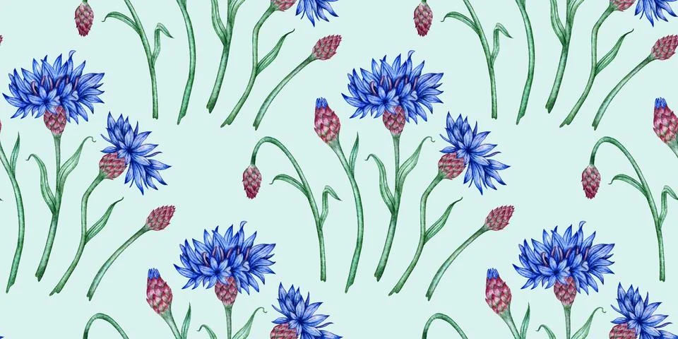 Cornflowers watercolor pattern on a blue background Illustrazione stock