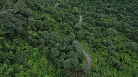 Cornisa Road, High Angle View Revealing Horizon, Salta, Jujuy, Argentina Stock Footage 342191942