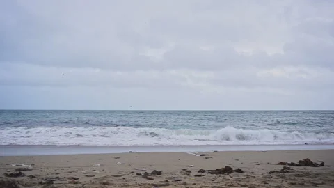 Cornish Beach with seaguls on the beach part 3 of 3 Stock Footage 146715235