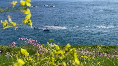 Cornish Coastline Stock Footage 241792480