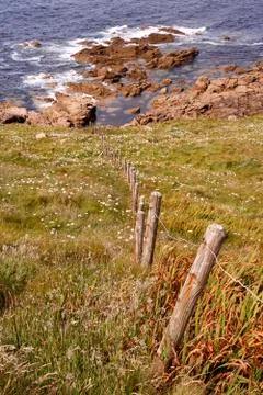 Cornish Coastline Stock Photos