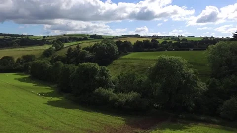 Cornish Countryside Stock Footage 147940296