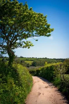 Cornish lane Stock Photos