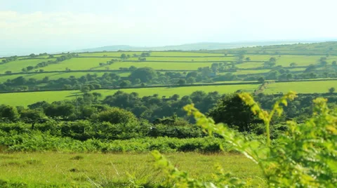 Cornish moorland 스톡 동영상 39852884