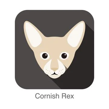 Cornish Rex Cat, Cat breed face cartoon flat icon design Stock Illustration