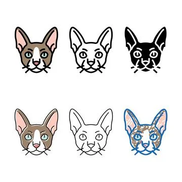 Cornish rex cat cute types pet color icon vector Stock Illustration