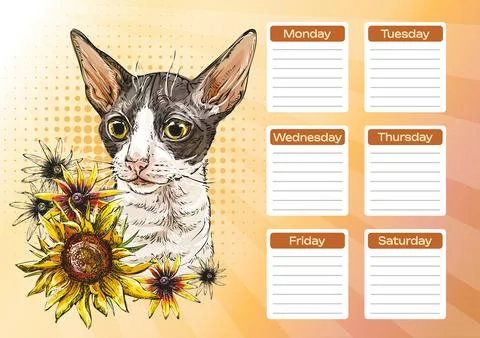Cornish Rex cat with flowers printable planner and school schedule vector Stock Illustration
