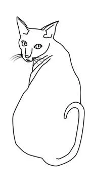 Cornish rex, sketch, outline Stock Illustration