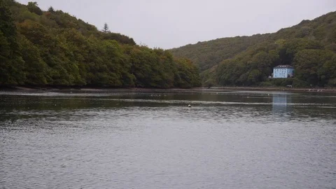 Cornish river just before it meets the sea Stock Footage 80645834