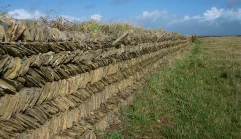Cornish Wall a combination of a stone wall It has an earth centre and is then Stock Photos