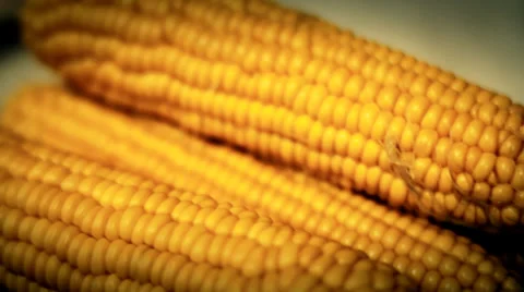 The Corn.mp4 Stock Footage 34380883