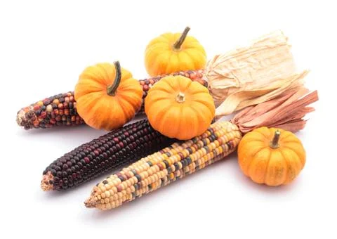 Corns and pumpkins Stock Photos