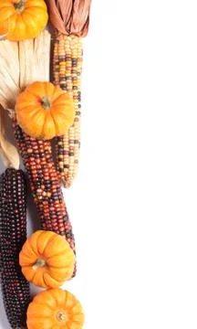 Corns and pumpkins Stock Photos