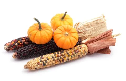 Corns and pumpkins Stock Photos
